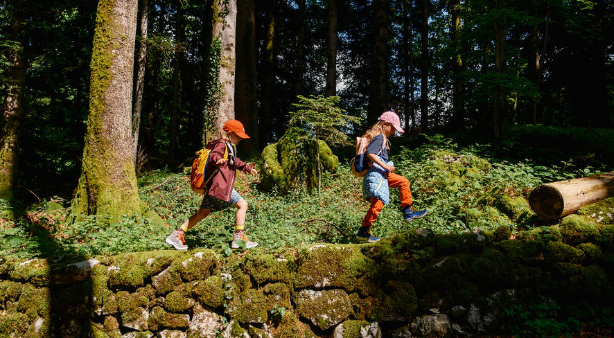 Kinder spielen im Waldkindergarten