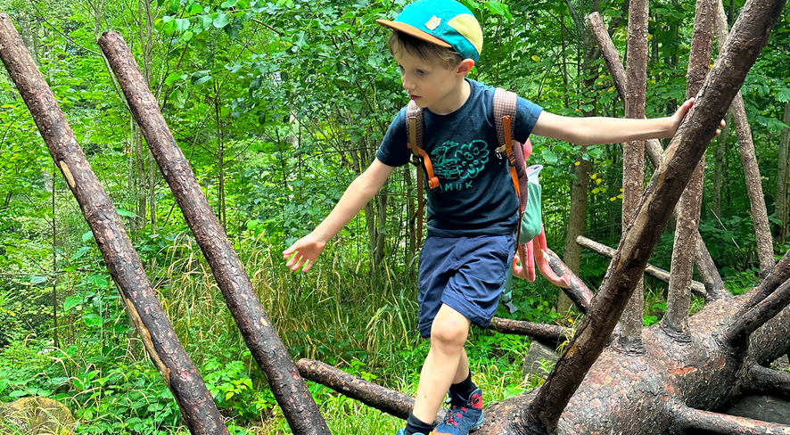 Junge in Wanderkleidung klettert im Grünen über einen Baumstamm
