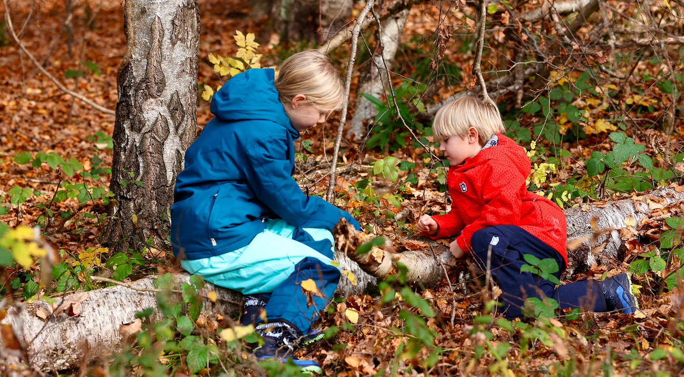 Zwei Kinder sitzen im Wald auf einem Baumstamm
