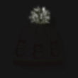 Logo Beanie - 2024 (2)